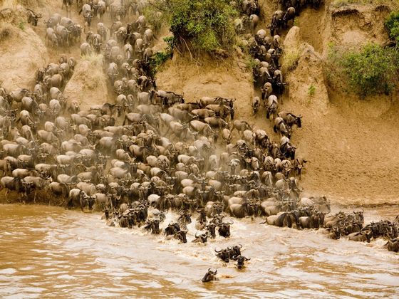 2027-07-11 Tanzania The Great Migration 6N - Travel with Xpert Buddy